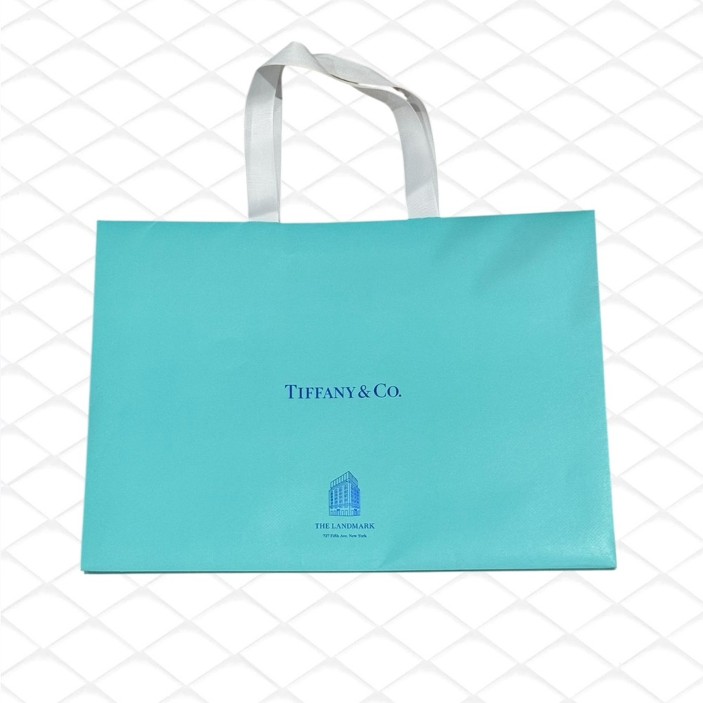 Tiffany & Co The Landmark Bag